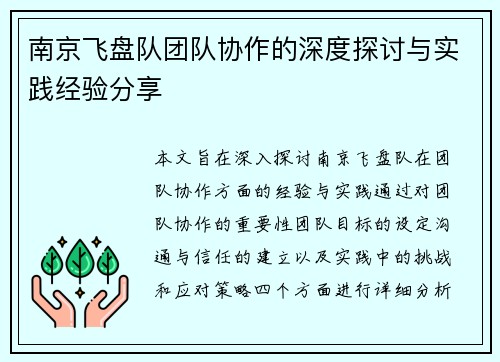 南京飞盘队团队协作的深度探讨与实践经验分享